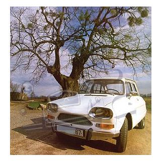 Ami 8 berline blanc stellaire de 1969
