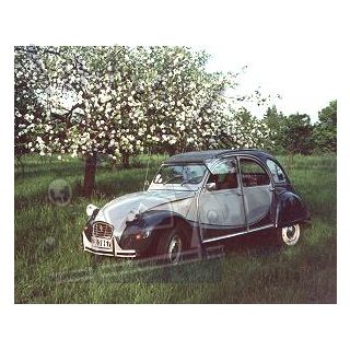 2cv Charleston Gris Cormoran et Gris Nocturne