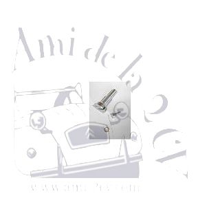 Vis de fixation du rétroviseur extérieur 2cv et Dyane