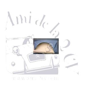 aile avant gauche ami 8