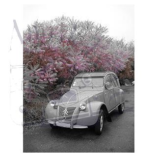 2 CV AZLP 1959 gris souris