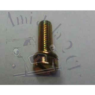Boulon vis de couvercle de carburateur M5/0,75 x 17,5 et 15,5mm pour 2cv Méhari Dyane Acadiane Ami et autres voitures de collection