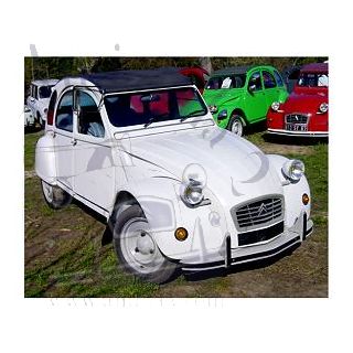 2 CV 6 Spécial Blanc Meige 1987