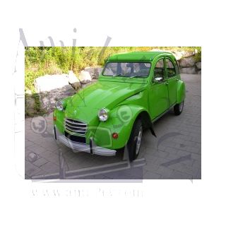 2cv 6 vert palmeraie 1974