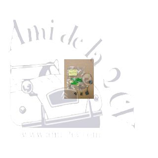 Paire de charbons de dynamo Ducellier avec ressorts pour 2cv