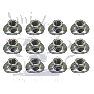 Ensemble 12 écrous de roue 2cv