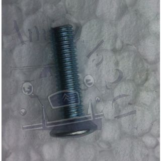 Vis tête bombée cruciforme 5 x 20 pour la fixation du tableau de bord 2cv Spécial