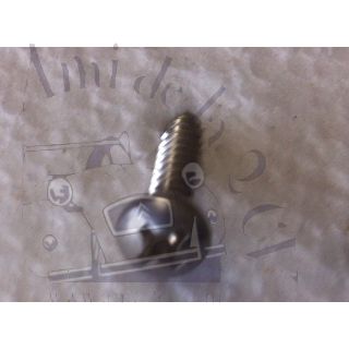 Vis à tête cruciforme 3.5 x 19 mm pour fixer la joue d'aile de la Dyane Acadiane